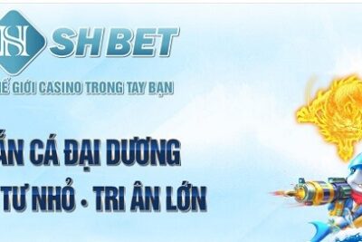 Shbet – Địa chỉ cá cược hàng đầu tại Việt Nam